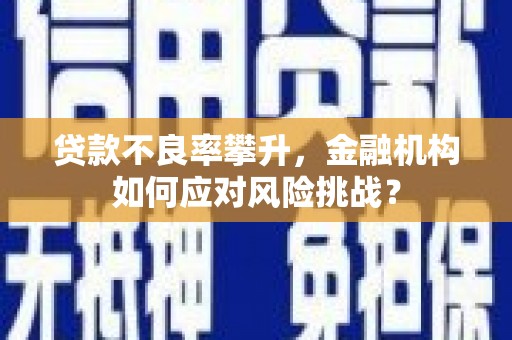 金溪贷款不良率攀升，金融机构如何应对风险挑战？