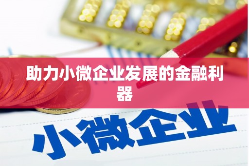 金溪助力小微企业发展的金融利器
