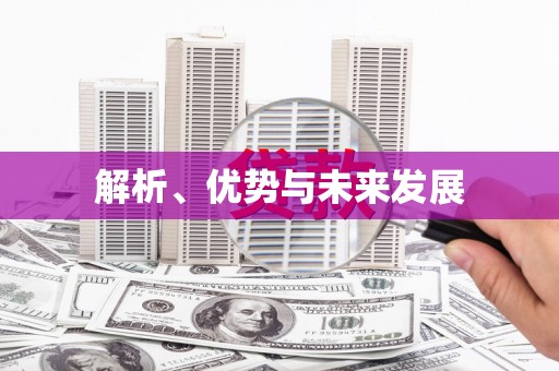 金溪解析、优势与未来发展