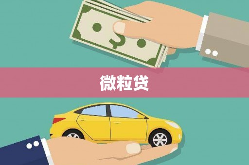 金溪微粒贷
