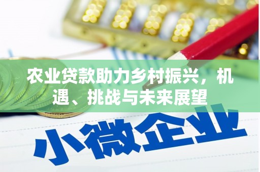 金溪农业贷款助力乡村振兴，机遇、挑战与未来展望