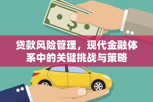金溪贷款风险管理，现代金融体系中的关键挑战与策略