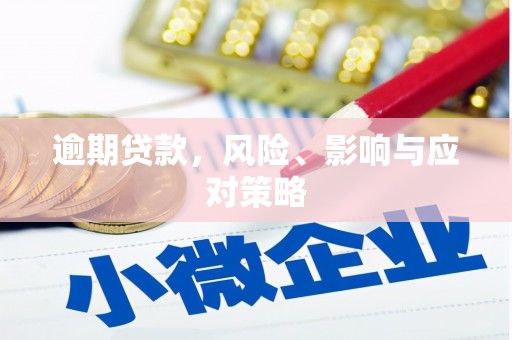 金溪逾期贷款，风险、影响与应对策略