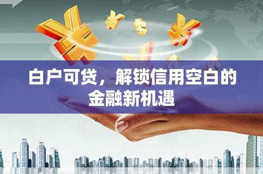 金溪白户可贷，解锁信用空白的金融新机遇