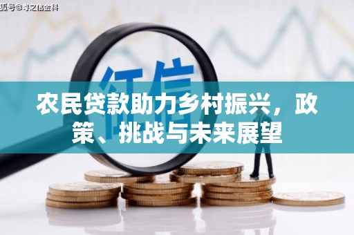 金溪农民贷款助力乡村振兴，政策、挑战与未来展望