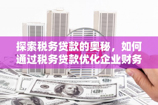 金溪探索税务贷款的奥秘，如何通过税务贷款优化企业财务