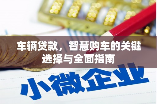 金溪车辆贷款，智慧购车的关键选择与全面指南