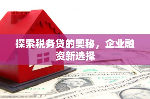 金溪探索税务贷的奥秘，企业融资新选择