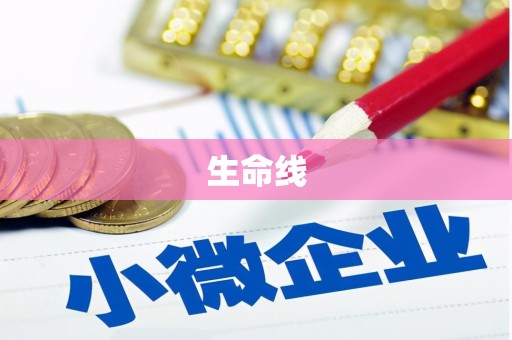 金溪生命线