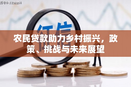 金溪农民贷款助力乡村振兴，政策、挑战与未来展望