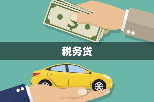 金溪税务贷