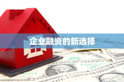 金溪企业融资的新选择