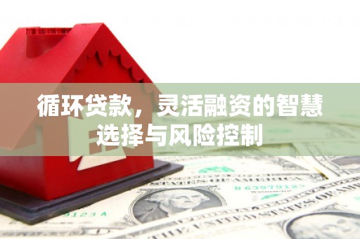 金溪循环贷款，灵活融资的智慧选择与风险控制