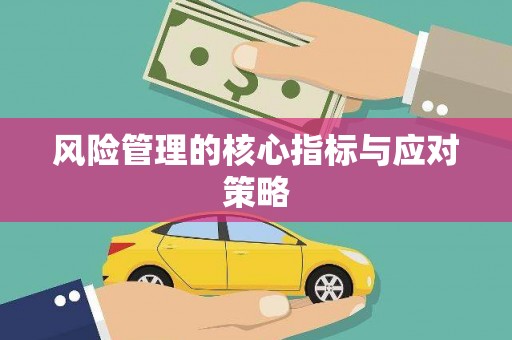 金溪风险管理的核心指标与应对策略