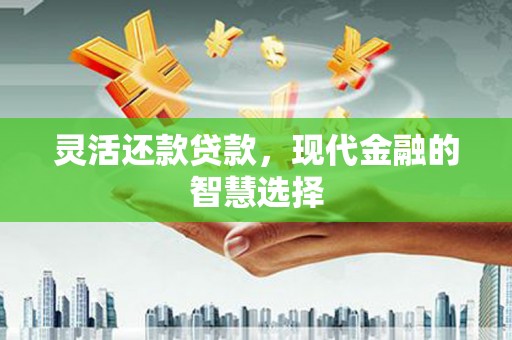 金溪灵活还款贷款，现代金融的智慧选择