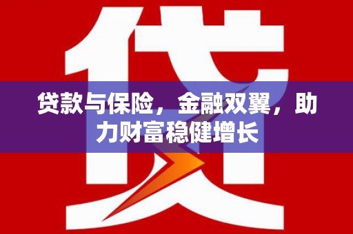 金溪贷款与保险，金融双翼，助力财富稳健增长
