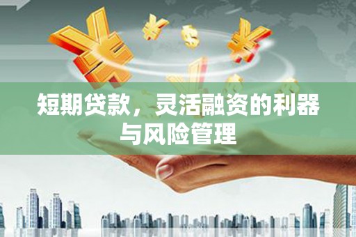 金溪短期贷款，灵活融资的利器与风险管理