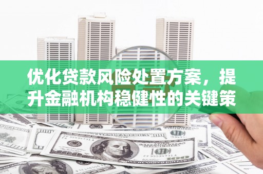 金溪优化贷款风险处置方案，提升金融机构稳健性的关键策略