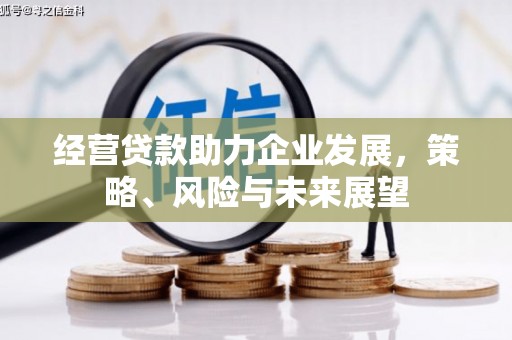 金溪经营贷款助力企业发展，策略、风险与未来展望