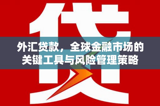 金溪外汇贷款，全球金融市场的关键工具与风险管理策略