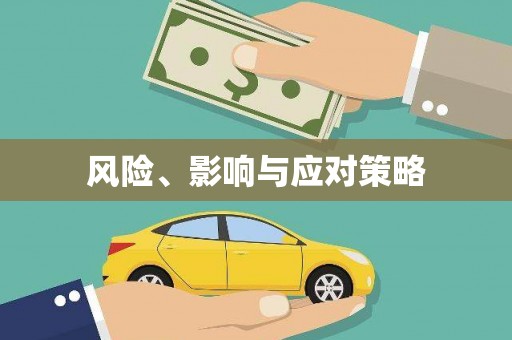 金溪风险、影响与应对策略