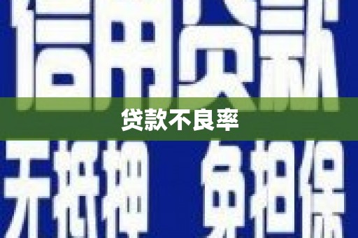 金溪贷款不良率