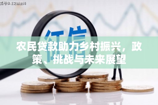 金溪农民贷款助力乡村振兴，政策、挑战与未来展望