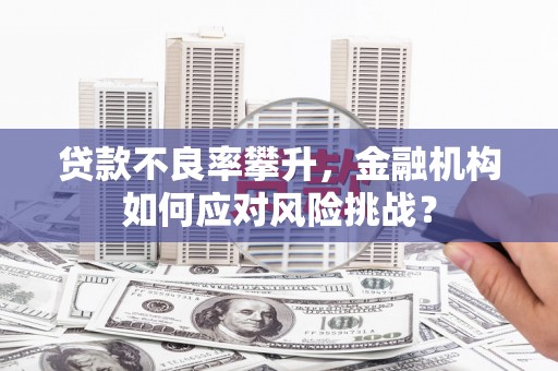 金溪贷款不良率攀升，金融机构如何应对风险挑战？