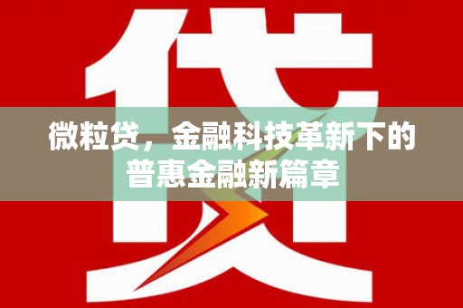 金溪微粒贷，金融科技革新下的普惠金融新篇章