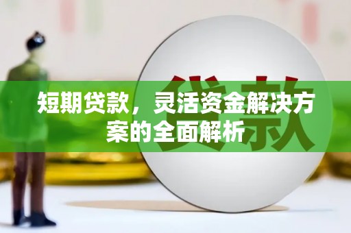 金溪短期贷款，灵活资金解决方案的全面解析