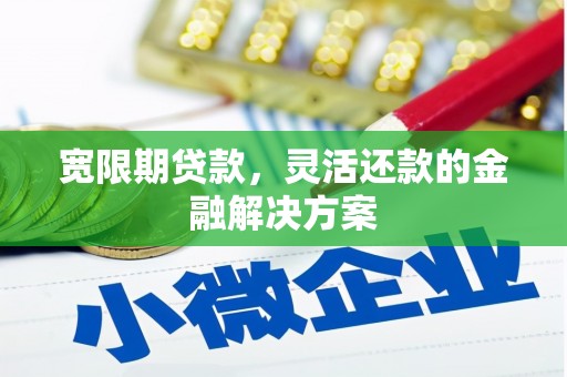 金溪宽限期贷款，灵活还款的金融解决方案