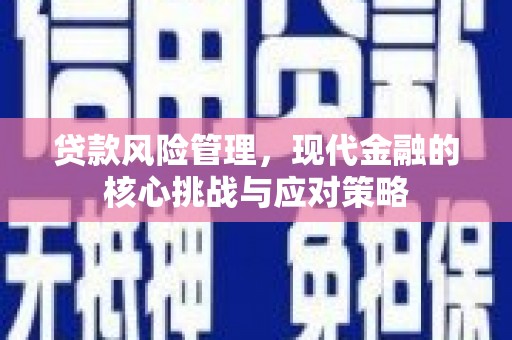 金溪贷款风险管理，现代金融的核心挑战与应对策略