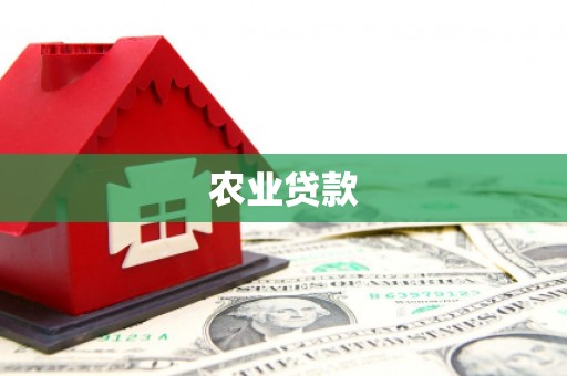 金溪农业贷款