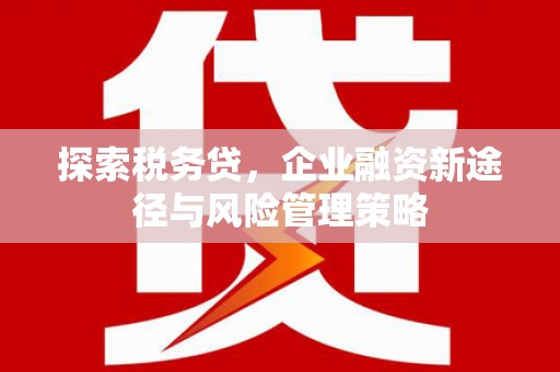 金溪探索税务贷，企业融资新途径与风险管理策略