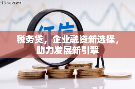 金溪税务贷，企业融资新选择，助力发展新引擎