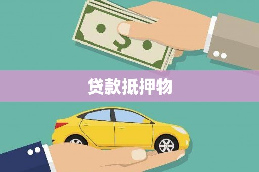 金溪贷款抵押物