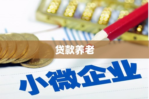 金溪贷款养老
