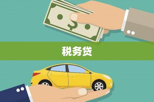 金溪税务贷