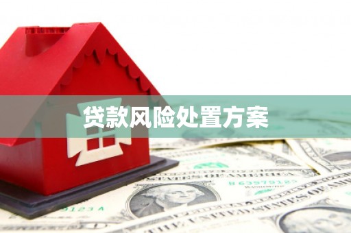 金溪贷款风险处置方案