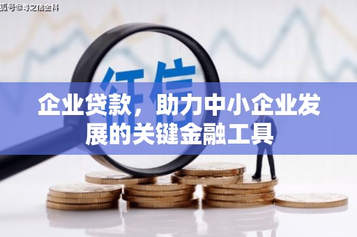 金溪企业贷款，助力中小企业发展的关键金融工具