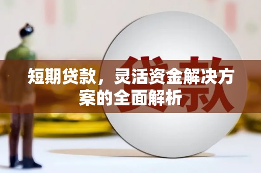 金溪短期贷款，灵活资金解决方案的全面解析