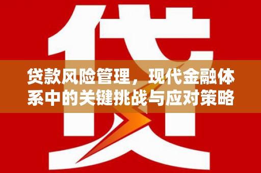 金溪贷款风险管理，现代金融体系中的关键挑战与应对策略