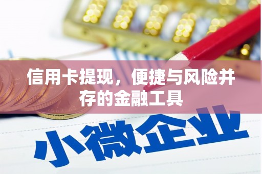 金溪信用卡提现，便捷与风险并存的金融工具