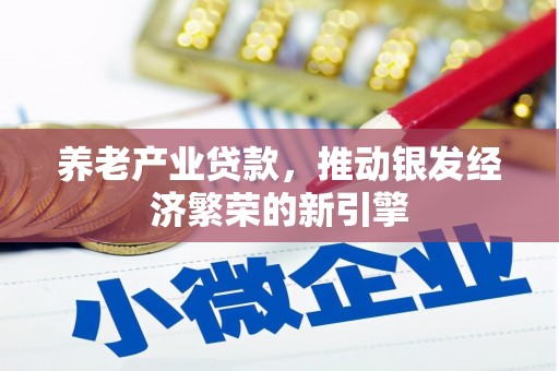 金溪养老产业贷款，推动银发经济繁荣的新引擎