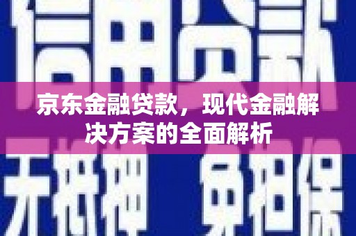 金溪京东金融贷款，现代金融解决方案的全面解析