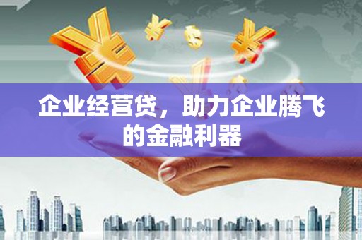 金溪企业经营贷，助力企业腾飞的金融利器