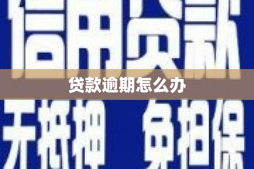 金溪贷款逾期怎么办
