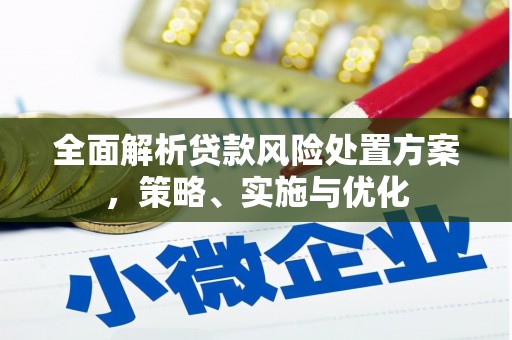 金溪全面解析贷款风险处置方案，策略、实施与优化