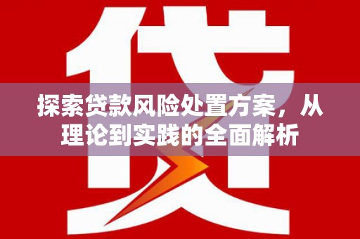 金溪探索贷款风险处置方案，从理论到实践的全面解析