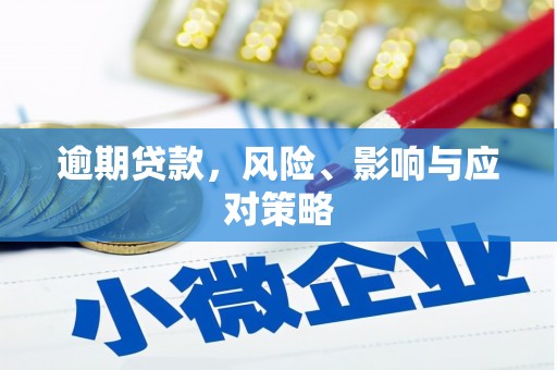 金溪逾期贷款，风险、影响与应对策略